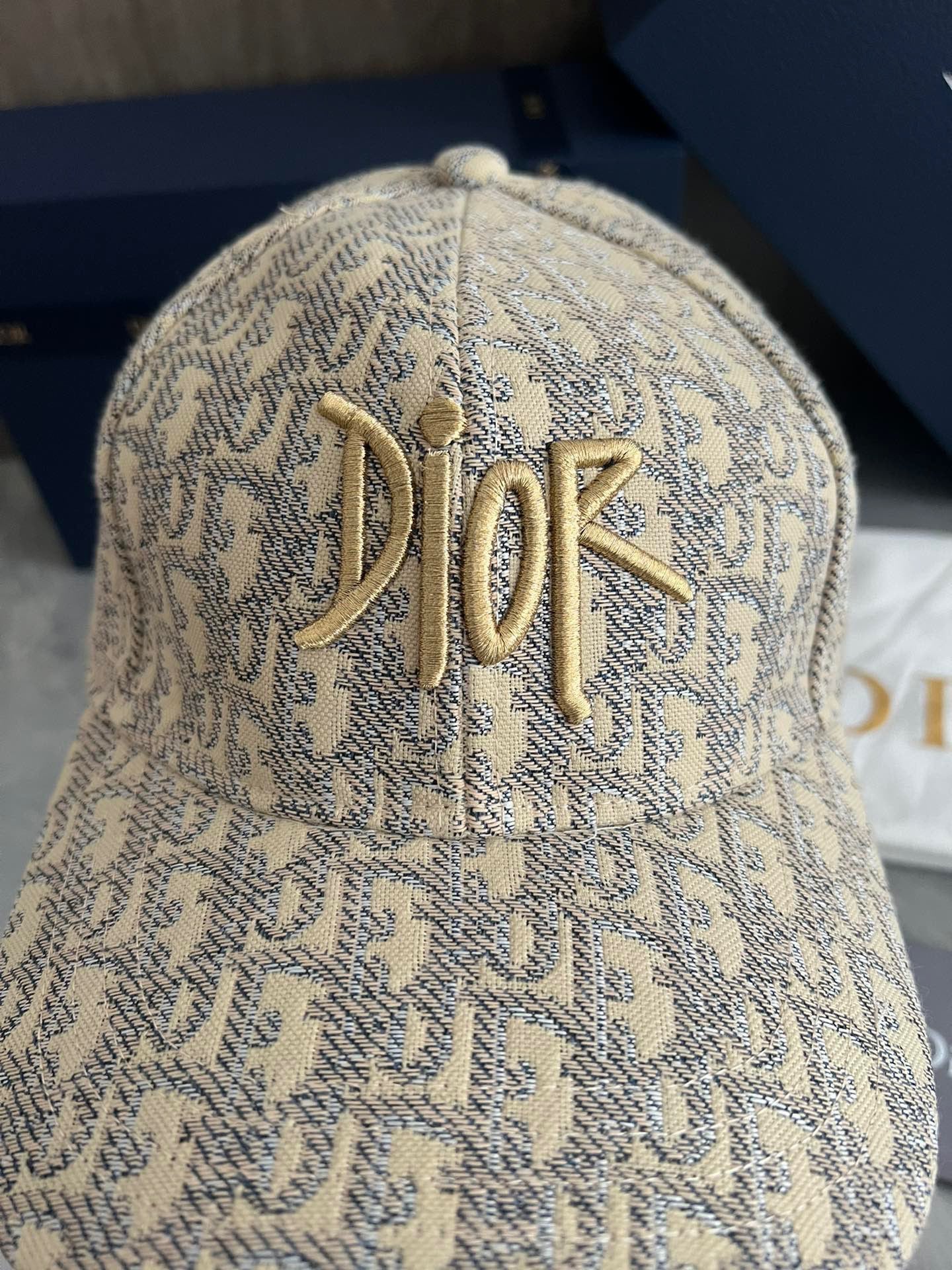 Dior Oblique Baseball Cap with Gold Script Embroidery – Beige & Grey Edition